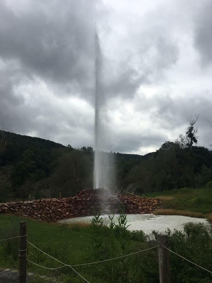 Gasthaus Stammbaum Andernach Kültér fotó